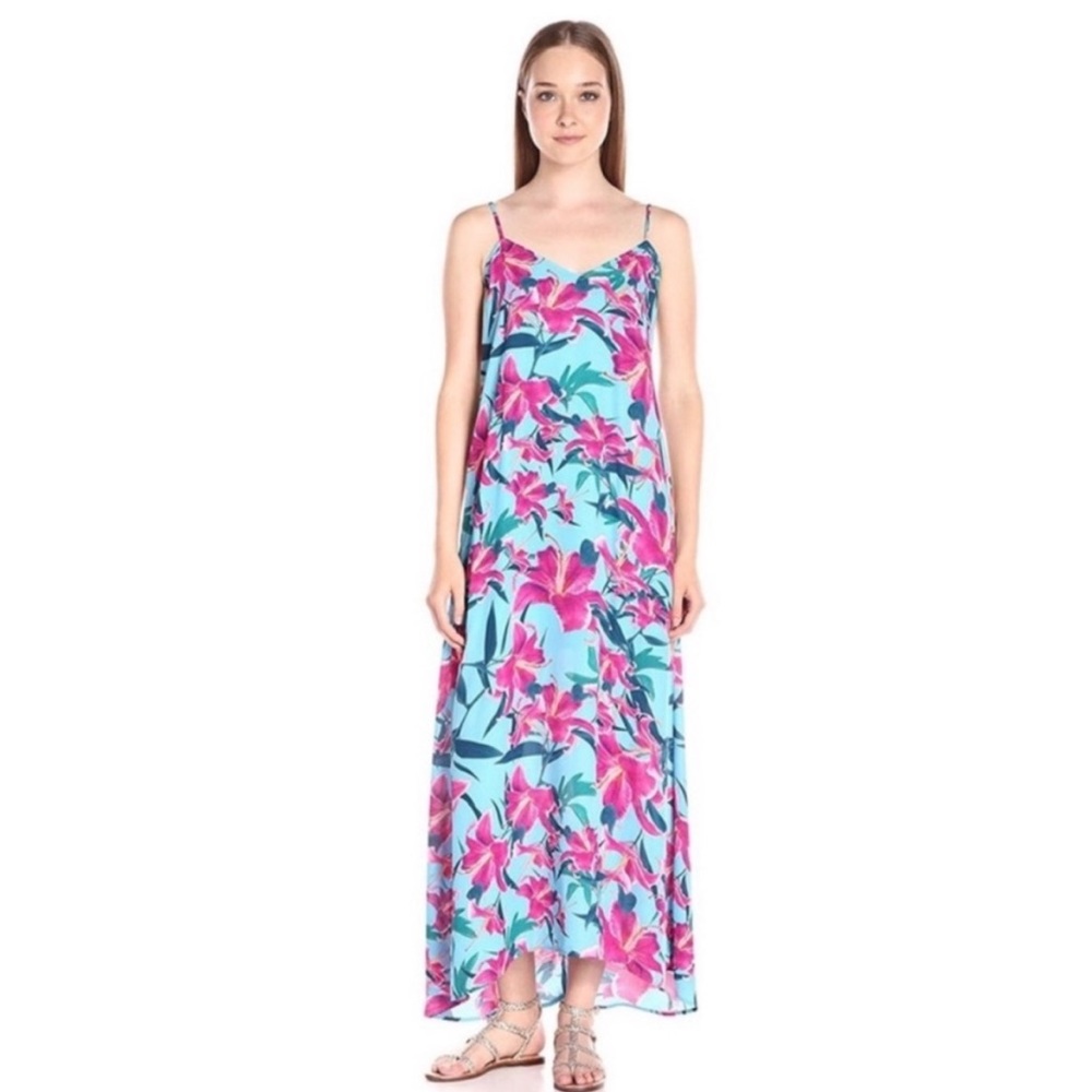 Show Me Your Mumu Montecito Blue Floral Maxi Dress size Large